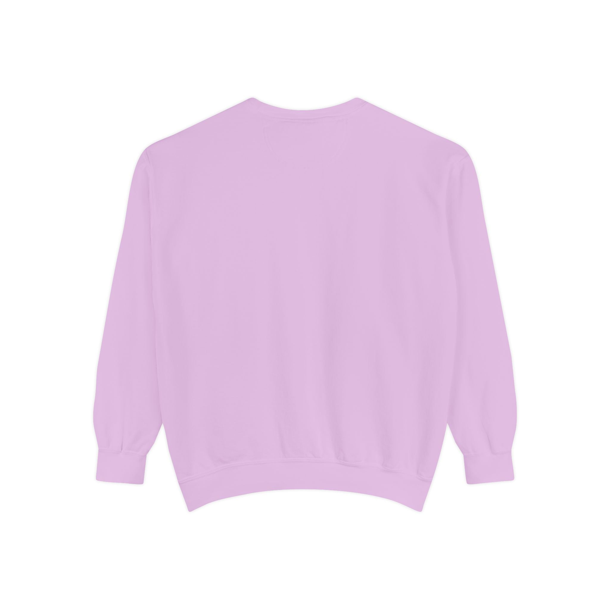 American Kestrel Sweatshirt
