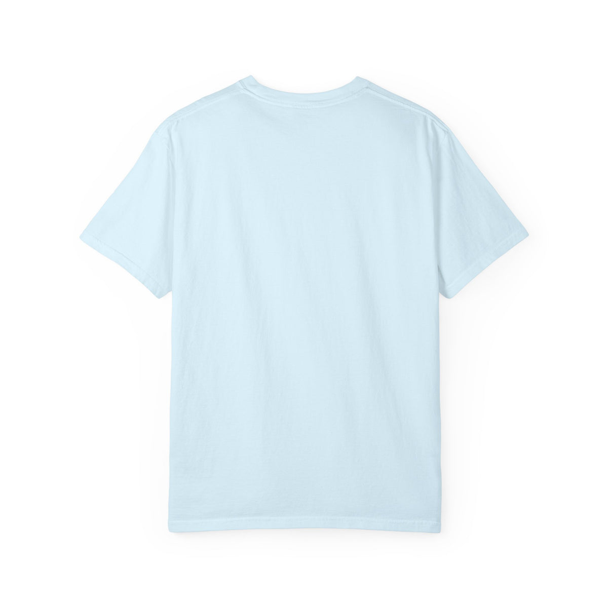 American Kestrel T-Shirt