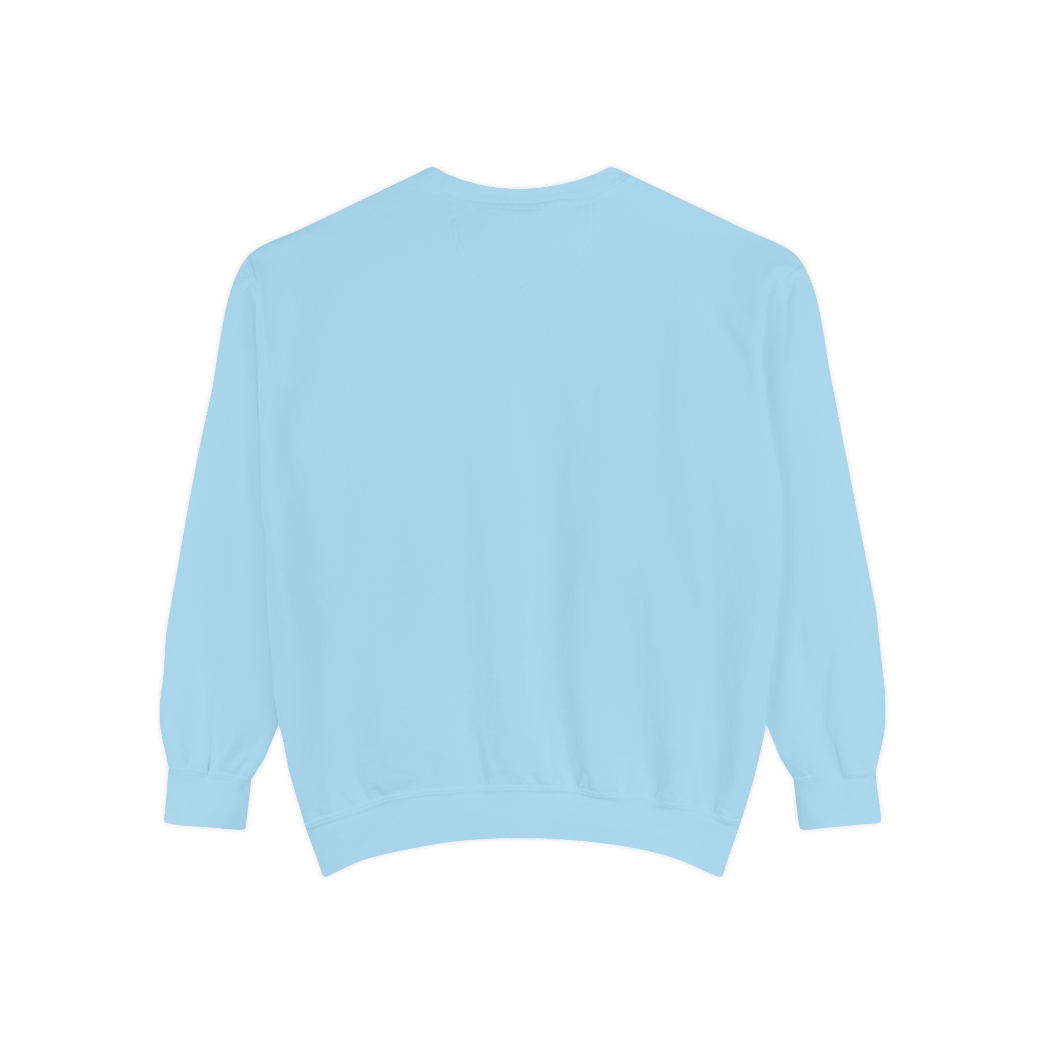 American Kestrel Sweatshirt