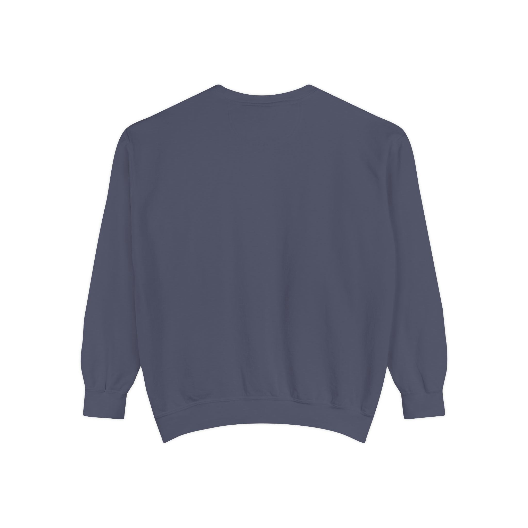 American Kestrel Sweatshirt