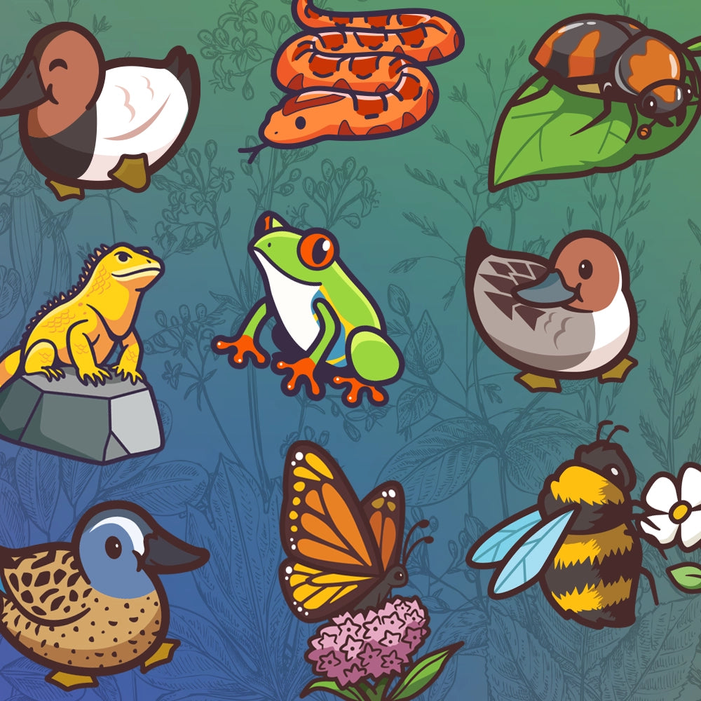 Pack Of 9 Wildlife & Insect Die-Cut Stickers
